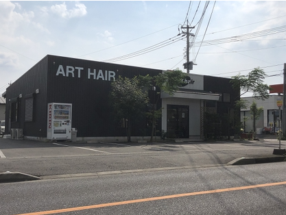 ART HAIR